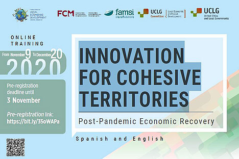 Innovation for Cohesive Territories