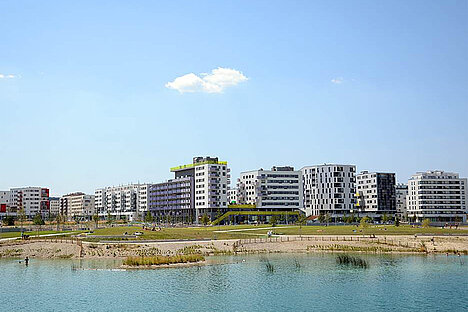 City with a female face