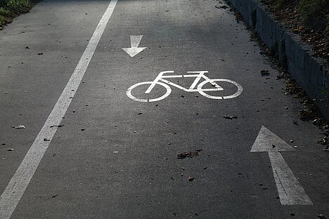 Local Project Workshop on cycling